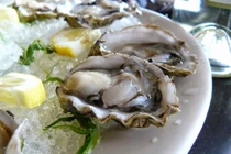 Những "cấm kỵ" khi ăn hàu biển để tránh rước họa vào thân