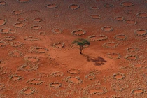 Giải mã bí ẩn về những “vòng tròn cổ tích” kỳ lạ ở Namibia