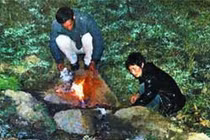 Bí ẩn về cánh đồng “quỷ” ở Trung Quốc