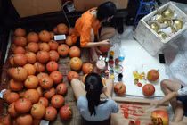 Dừa vàng, bưởi đỏ vẽ thư pháp “giá chát”, cháy hàng cận Tết