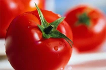 Cà chua có dấu hiệu này cần vứt ngay kẻo rước bệnh vào người