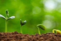 2 cách đơn giản để gieo mầm hạnh phúc, đừng nên bỏ qua