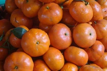 Cách chọn cam Canh ngon ngọt, căng mọng nước trăm quả như một