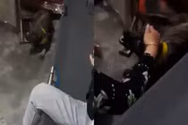 Roi nước mắt chú chó "khóc nấc" bên quan tài chủ