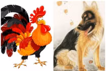 3 cặp đôi có số Ngưu Lang và Chức Nữ, lấy nhau dễ gặp đại hoạ