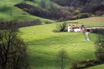 5 vùng đất có tên dài nhất thế giới