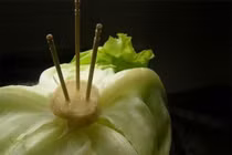 Mẹo bảo quản bắp cải như chuyên gia chỉ bằng 3 que tăm