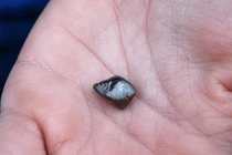 Lang thang công viên lớ ngớ 'vớ' phải viên kim cương 'siêu to khổng lồ'