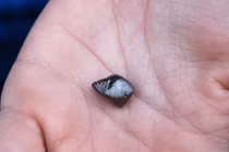 Lang thang công viên lớ ngớ 'vớ' phải viên kim cương 'siêu to khổng lồ'