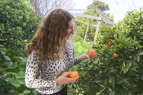 Kiện hàng xóm gốc Việt ra tòa vì ăn thịt nướng ngoài sân và kết đắng