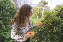 Kiện hàng xóm gốc Việt ra tòa vì ăn thịt nướng ngoài sân và kết đắng