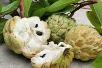 Quả na có tác dụng tốt nhưng khi ăn cần chú ý điều này