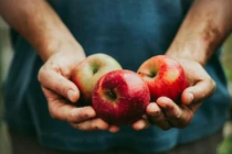 Mỗi ngày ăn một quả táo, điều bất ngờ này sẽ đến với cơ thể bạn