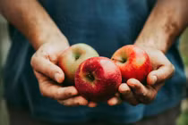 Mỗi ngày ăn một quả táo, điều bất ngờ này sẽ đến với cơ thể bạn