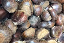 Gắn mác hạt dẻ Trùng Khánh, hạt dẻ TQ được thổi giá gấp 3 lần