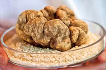 5 thực phẩm đắt nhất thế giới, một miếng bằng cả căn nhà