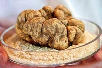 5 thực phẩm đắt nhất thế giới, một miếng bằng cả căn nhà