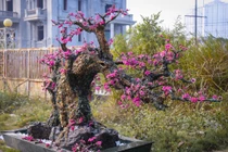 Cây đào làm bằng đá quý, rao giá 600 triệu