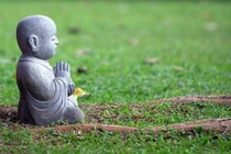 Đừng vội vã đưa ra quyết định khi tức giận kẻo hối cũng không kịp