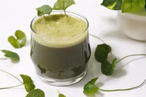 Rau má thanh nhiệt nhưng uống kiểu này ngộ độc nhập viện trong tích tắc