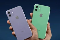 Dân buôn Việt bắt đầu nhận đặt trước iPhone 11