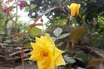 7 điều vợ thông minh không đòi hỏi chồng