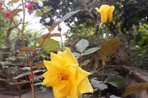 7 điều vợ thông minh không đòi hỏi chồng