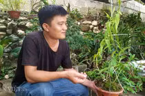 "Nhỡ mồm", 8X Lạng Sơn kiếm trăm triệu từ phong lan rừng