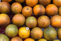 Loạn cam Cao Phong giá rẻ một nửa "hàng chuẩn"