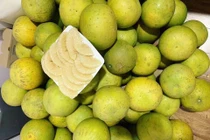 Đại gia Hà Thành chơi trội, bao trọn vườn bưởi cổ 2.000 quả ăn Tết