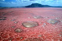 Hồ nước tử thần hóa đá động vật rơi xuống