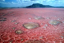 Hồ nước tử thần hóa đá động vật rơi xuống