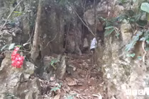 Chuyện có thật về hang động bí ẩn chứa kho báu ở Sơn La