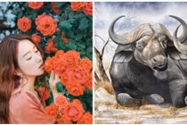 3 con giáp xởi lởi trời cho, tiền bạc căng ví 2 năm tới