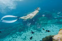 Hoà mình vào làn nước biển ở Phú Quý, lặn ngắm san hô 