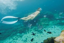 Hoà mình vào làn nước biển ở Phú Quý, lặn ngắm san hô 