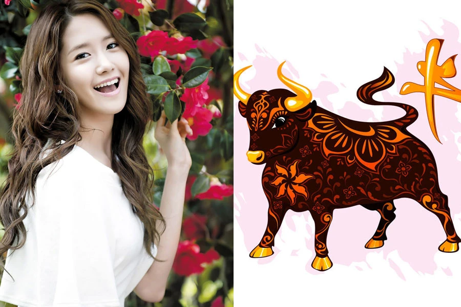 4 con giáp cuộc sống miễn chê, tứ bề hạnh phúc 15 ngày tới