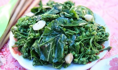 Khám phá đặc sản lá ngón xào tỏi đặc sản của người dân Tây Bắc