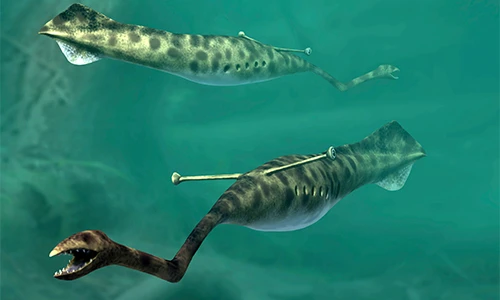 Hé lộ siêu quái vật là nỗi ám ảnh của đại dương thời cổ đại