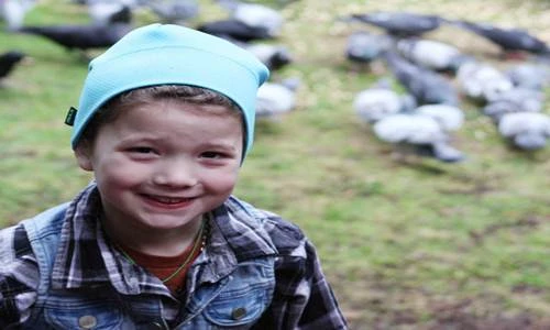 Bầy quạ suốt 4 năm tặng quà cho ân nhân 8 tuổi