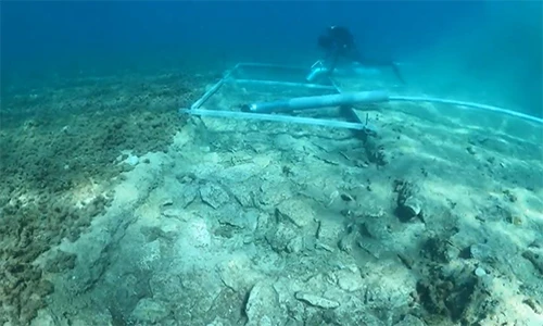 Kì lạ con đường cổ đại 7.000 tuổi ẩn nấp dưới đáy đại dương