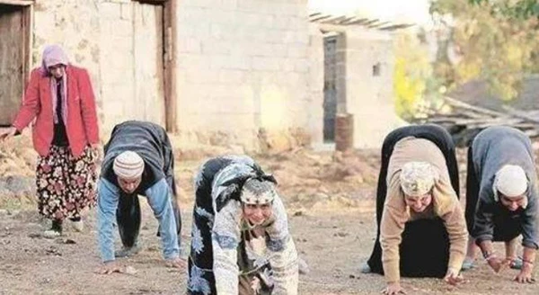 “Làng bò” kì lạ, đi bằng 4 chi nhanh không kém chạy bộ