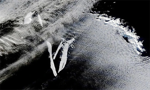 Nếu tảng băng trôi lớn nhất thế giới vỡ nát, chuyện gì sẽ xảy ra? 