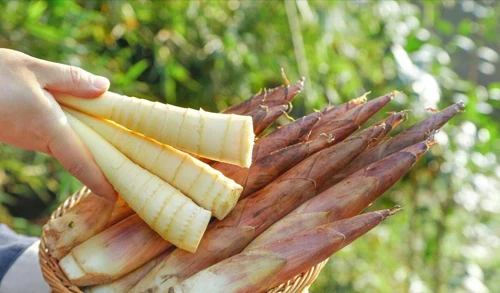 Giật mình loại rau nên hạn chế ăn kẻo rước họa