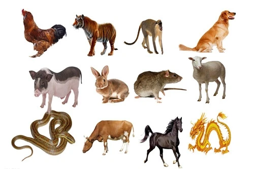 Dự đoán ngày 21/5/2021 cho 12 con giáp: Tý gây thất vọng, Mão tài khoản chất đầy