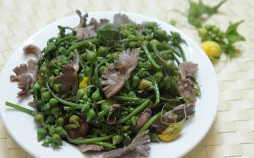 5 món ngon từ hoa mướp bổ dưỡng