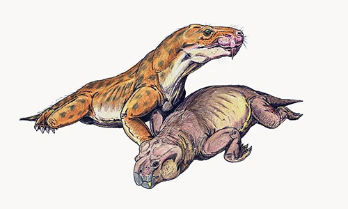 Tìm thấy hoá thạch hiếm của “quái vật đầu thú” thời tiền sử