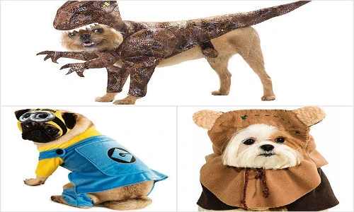 Cún cưng diện trang phục đón mừng Halloween cực yêu