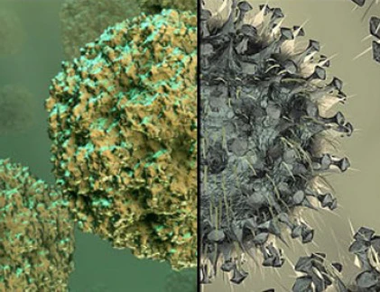 Dấu hiệu phân biệt cúm và cảm lạnh thông thường