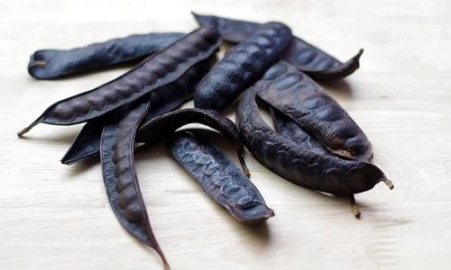 Những khám phá gây bất ngờ về cây bồ kết